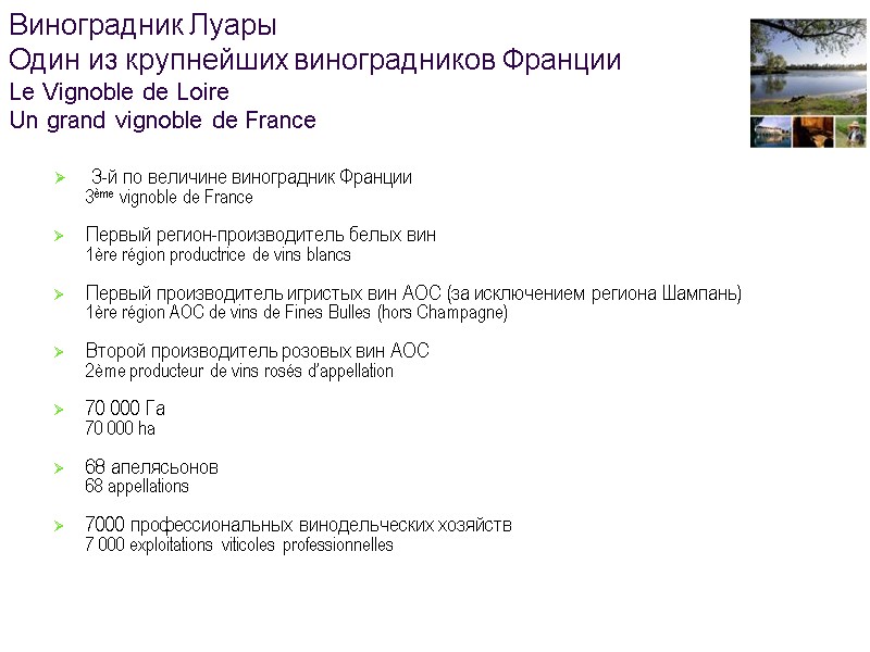 3   3-й по величине виноградник Франции  3ème vignoble de France 